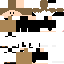 Texture for cvdb fgbx2