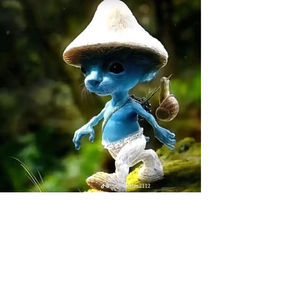 Texture for smurf cat