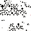 Texture for Flekki