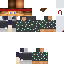 Texture for reichu