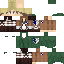 Texture for erwin