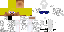 Texture for The Stig