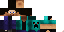 Texture for New Steve