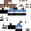 Texture for ConteRagusio
