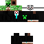 Texture for ds