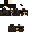 Texture for Froilan2