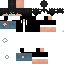 Texture for Fe