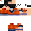 Texture for goihs