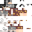 Texture for BS3 Hawaiian