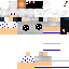 Texture for sd