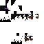 Texture for Enderbrine template