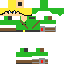 Texture for Link San