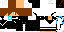 Texture for макс