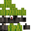 Texture for melone 