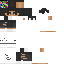 Texture for polar1