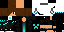 Texture for leoneluk
