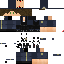 Texture for PoliceBrosVB
