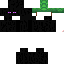Texture for enderman with turtle shell