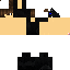 Texture for dnv 3