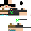 Texture for POPY PLAY