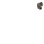 Texture for simple moth