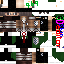Texture for Skyneaxt aot