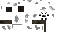 Texture for Black&White Spider