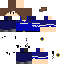 Texture for GANDARME