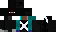 Texture for ninja