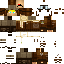 Texture for Pilot Gans