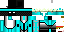 Texture for kingst