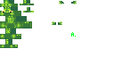 Texture for Baby caiman