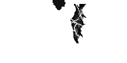Texture for jan prooo