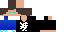 Texture for pocak2