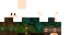 Texture for das