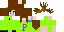 Texture for paja