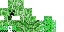 Texture for df