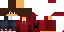 Texture for sir_pixel