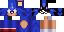 Texture for Sonic