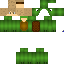 Texture for turtle