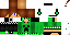 Texture for Crixel
