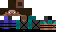 Texture for steve agent