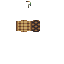 Texture for Shell