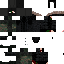 Texture for z14