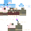Texture for Trings Elf
