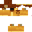 Texture for Cesky lev