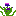 Texture for pretty flower