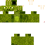Texture for Lizard Iguana