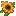 Texture for ebaniy podsolnyx malenkiy