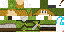 Texture for Link